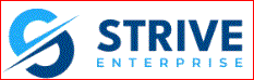 Strive Enterprise